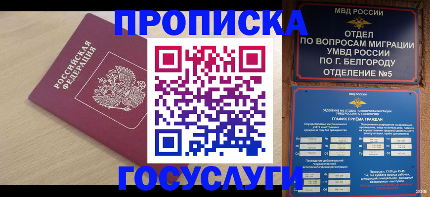 прописка законно в Кондрово